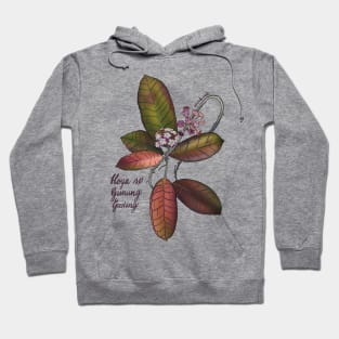 Hoya sp gunung gading in bloom Hoodie